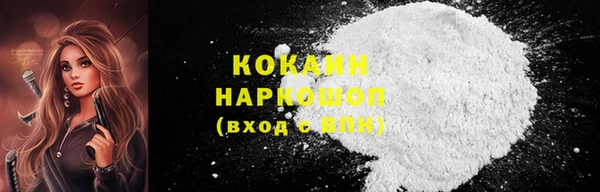 крисы Бронницы