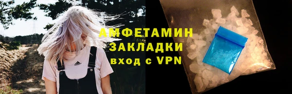 крисы Бронницы