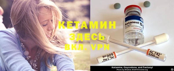 крисы Бронницы