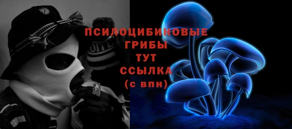 бутират Бородино