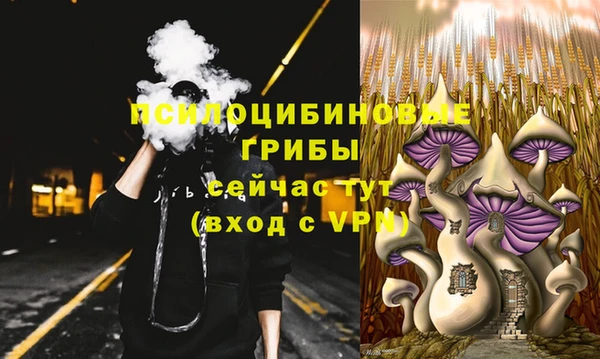 бутират Бородино