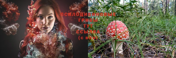 прущие крисы Бугульма