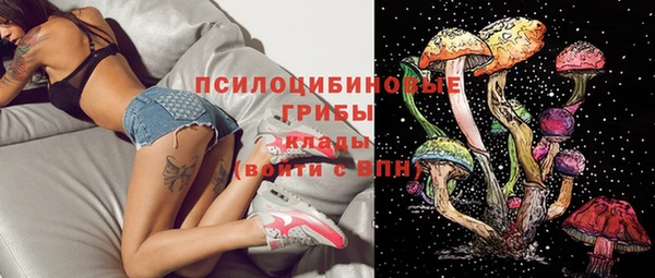 крисы Бронницы