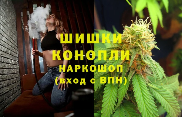 крисы Бронницы
